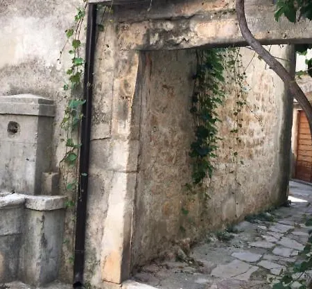 Estera Jelsa (Hvar)