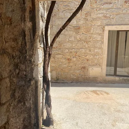 Estera Jelsa (Hvar)