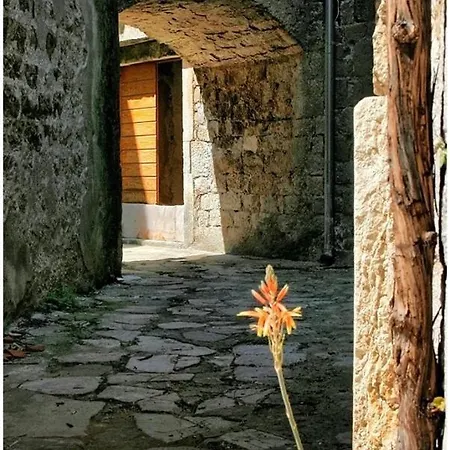 Estera Jelsa (Hvar)