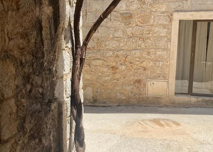 Estera Jelsa (Hvar)